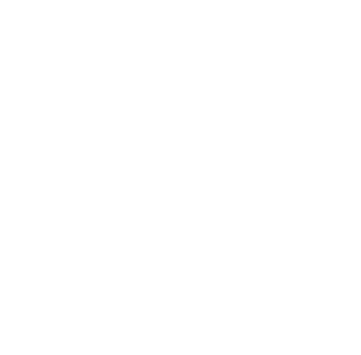 Tigers Flooring